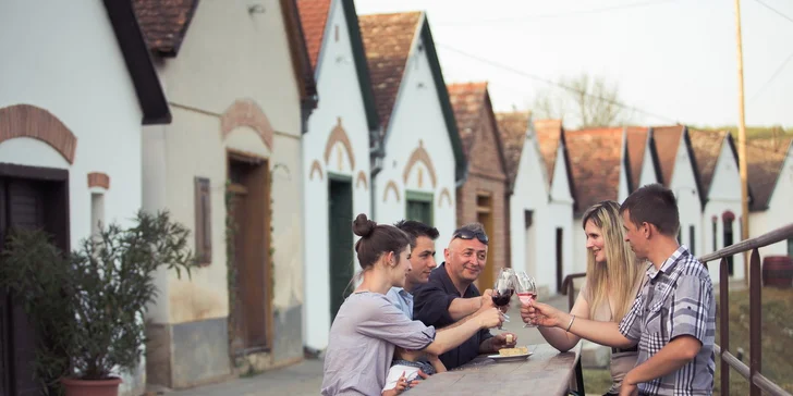 Vinařská dovolená v Maďarsku - až 7 dní v hotelu s vinicí