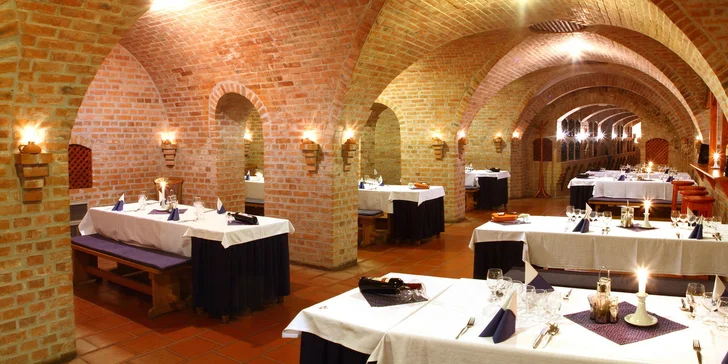 Vinařská dovolená v Maďarsku - až 7 dní v hotelu s vinicí