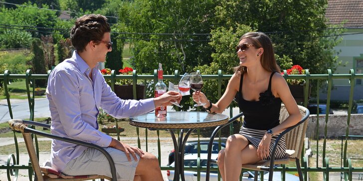 Vinařská dovolená v Maďarsku - až 7 dní v hotelu s vinicí