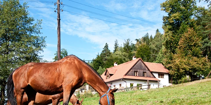 Co takhle i trocha relaxu? Mají tu také venkovní vířivku (za příplatek).