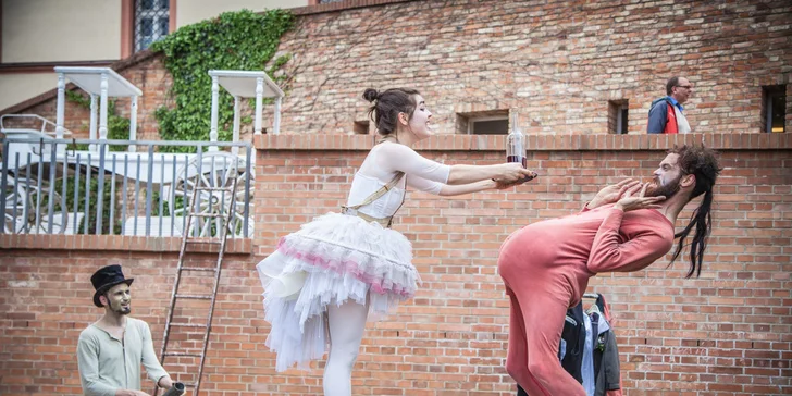 Dvojí proměna aneb Co je blbějšího než divadlo? (Dvě divadla)