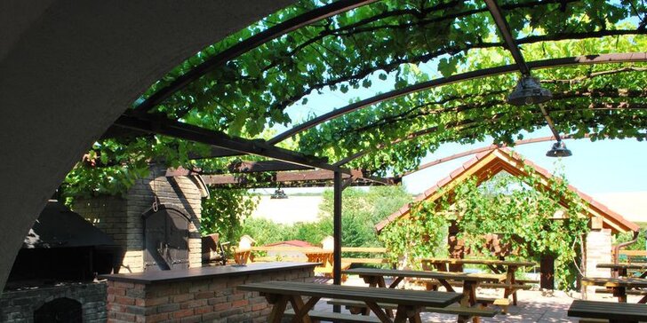 Dovolená v přírodě jižní Moravy: vyžití pro celou rodinu v krásném areálu rodinného vinařství