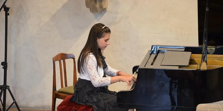 Summer Musical Festival - komorní koncert 19. a 20. 8. 2015