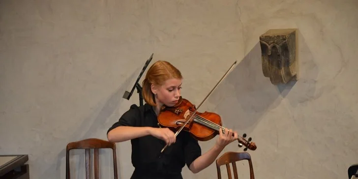 Summer Musical Festival - komorní koncert 19. a 20. 8. 2015
