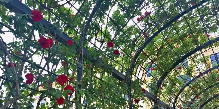 Výlet do vídeňského Primarku + Prater nebo Schönbrunn