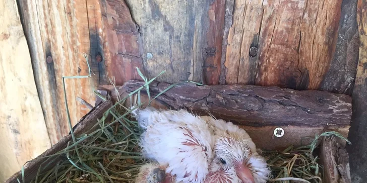 Zábava při vyrábění originálních dárečků ve Svíčkárně Rodas