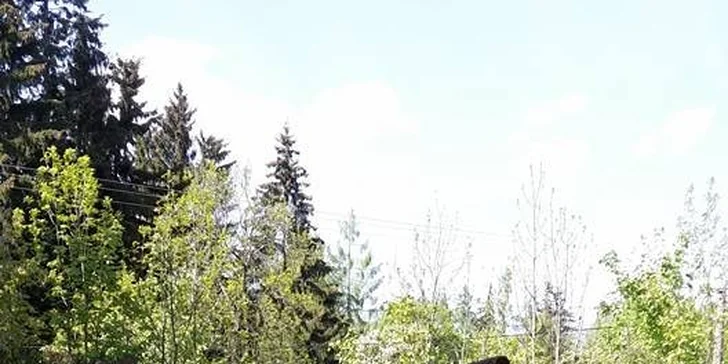 Odpočinková dovolená s procedurami v Mariánských Lázních