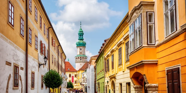 Historické mesto Šopron (cca 20 km)