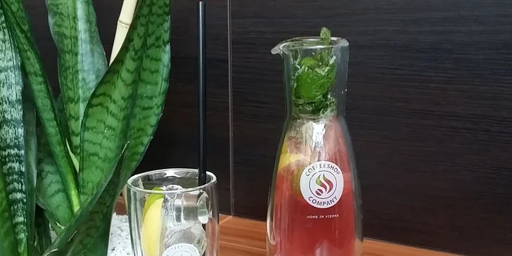 Dvě osvěžující fresh lemonade různých příchutí