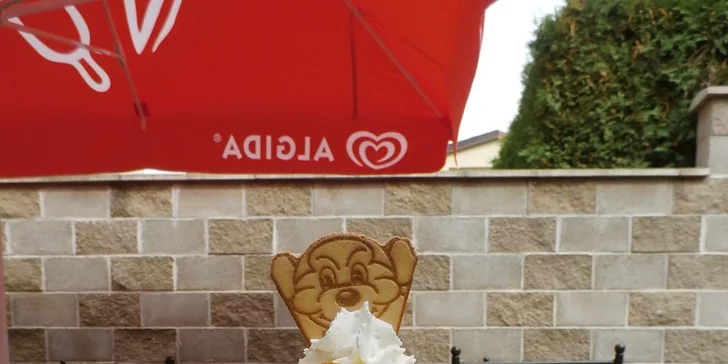 Zmrzlinový pohár pro dva