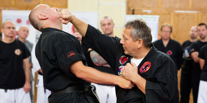 Vyřáděte se ve stylu japonských mistrů: hodinová lekce karate