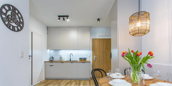 V každém apartmánu najdete vybavenou kuchyňku.