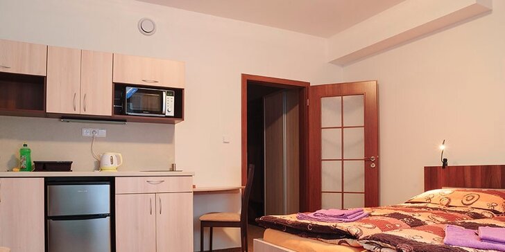 3-4denní pobyt se snídaní v krásném apartmánu v Krkonoších