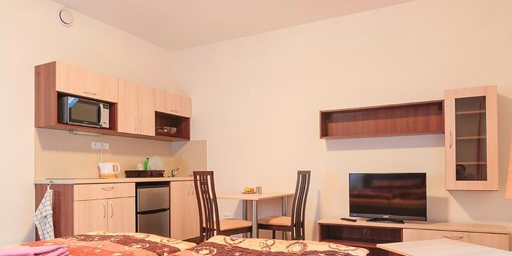 3-4denní pobyt se snídaní v krásném apartmánu v Krkonoších