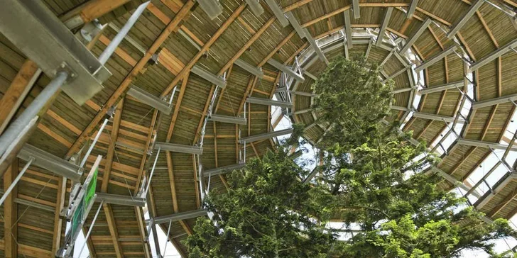 Pasov a unikátní Stezka v korunách stromů v Bavorském lese