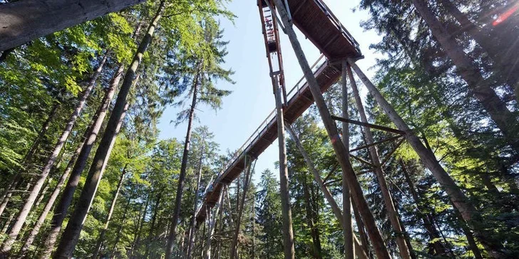 Pasov a unikátní Stezka v korunách stromů v Bavorském lese