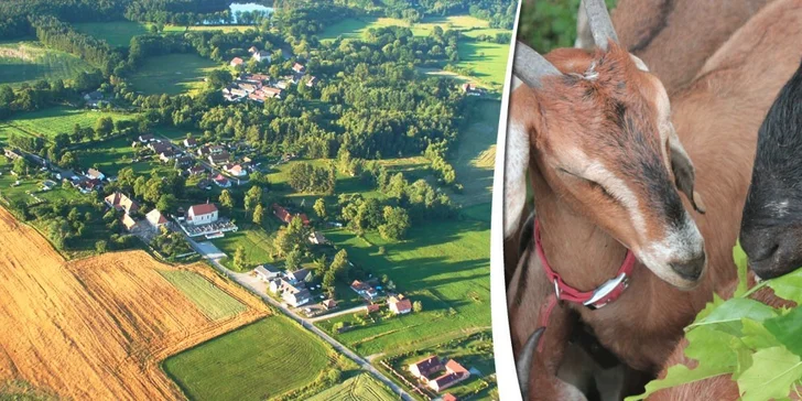 4 dny na farmě v Jižních Čechách u řeky Nežárky