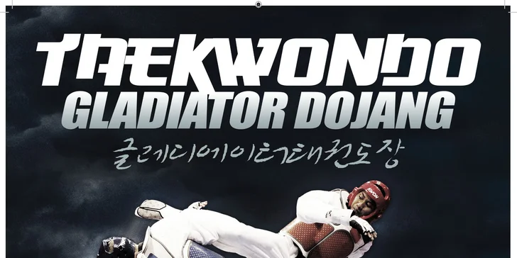 Tréninky Taekwondo WTF