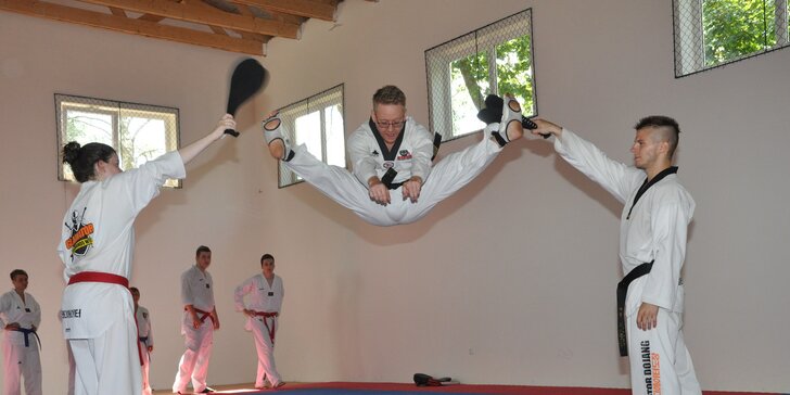 Tréninky Taekwondo WTF