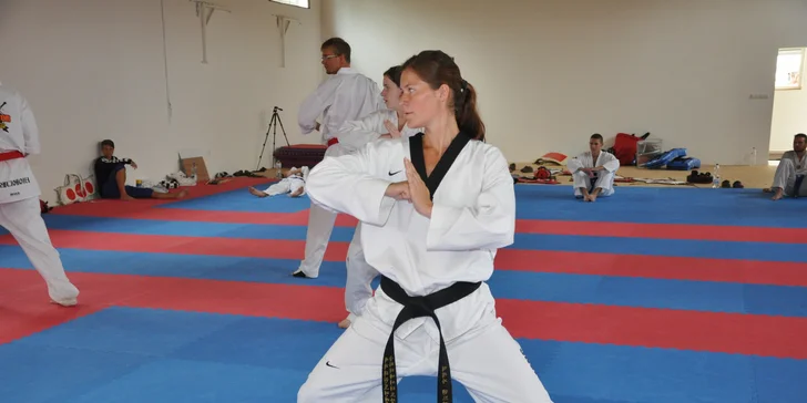 Tréninky Taekwondo WTF