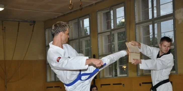 Tréninky Taekwondo WTF