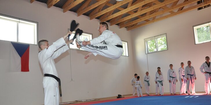 Tréninky Taekwondo WTF pro děti i dospělé (6-99 let)