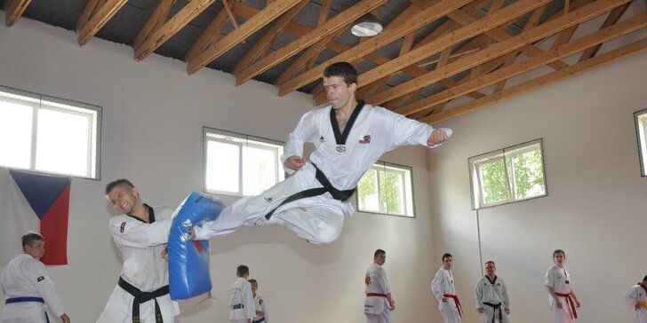 Tréninky Taekwondo WTF