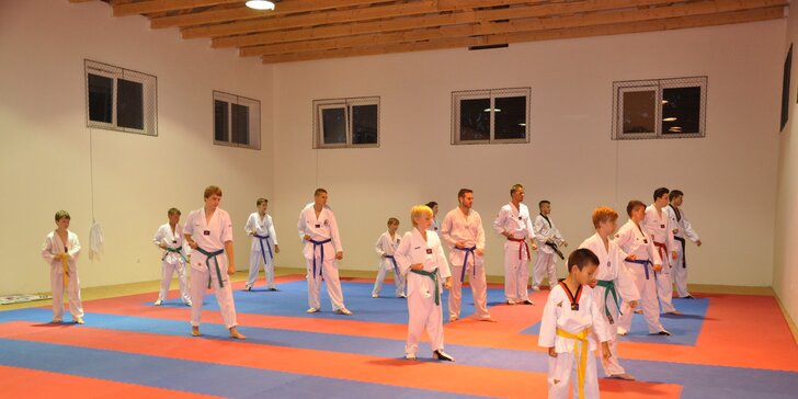Tréninky Taekwondo WTF pro děti i dospělé (6-99 let)