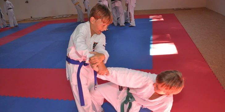 Tréninky Taekwondo WTF