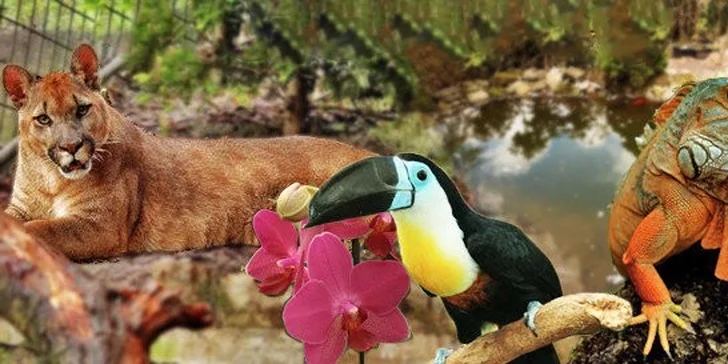 EXOTIKA pro celou rodinu - právě teď i s živými tropickými motýly