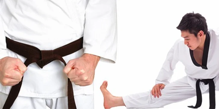 Tréninky Taekwondo WTF