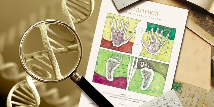 Genetické zkoumání původu včetně certifikátu