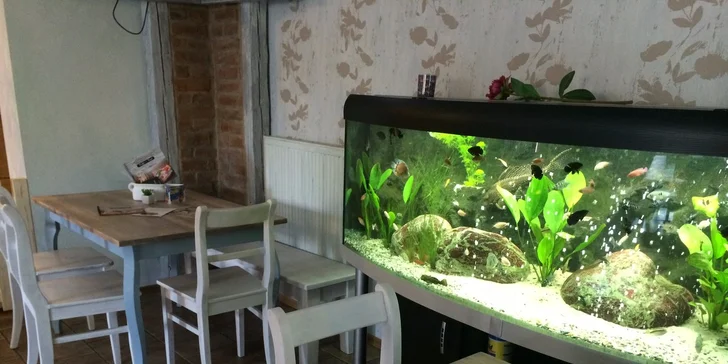 Dva šťavnaté hamburgery a dva domácí zákusky