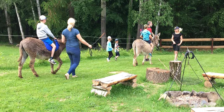 Společnost vám budou dělat jeden nebo dva ušatí kamarádi.
