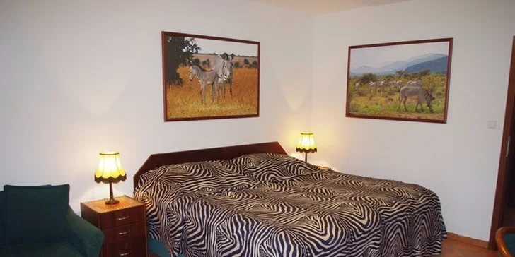 Noc v Hotelu Safari*** a prohlídka ZOO Dvůr Králové