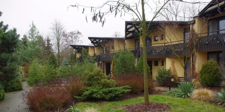 Noc v Hotelu Safari*** a prohlídka ZOO Dvůr Králové