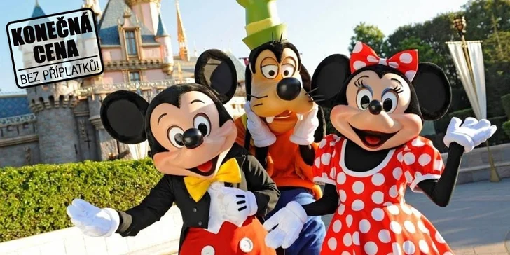 Pohádkový Disneyland i prohlídka Paříže - vstupenka a noc v hotelu se snídaní