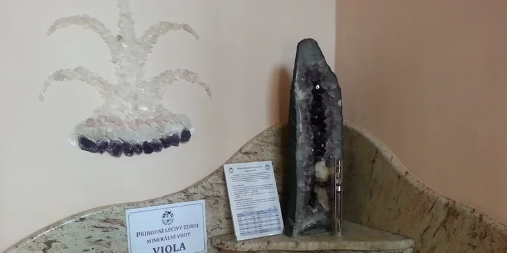 Přímo v domě jsou dva léčebné prameny. 