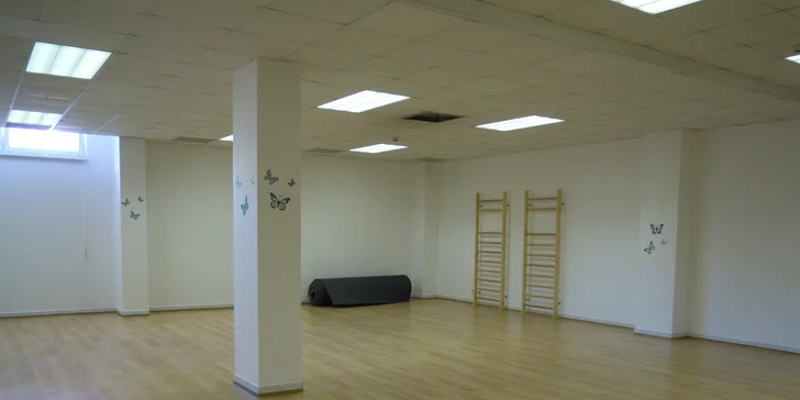Zpět do formy: 1 vstup nebo permanentka na 10 vstupů na lekce tance či cvičení fitness studia Happy Day