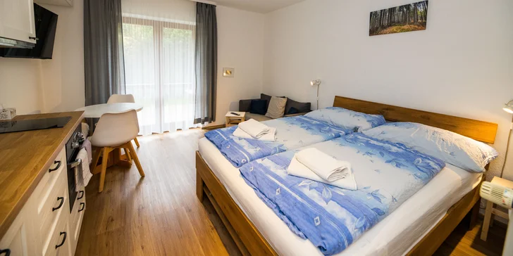 Zabydlíte se v moderně zařízeném apartmánu až pro 4 osoby (2 dospělí a 2 děti). 