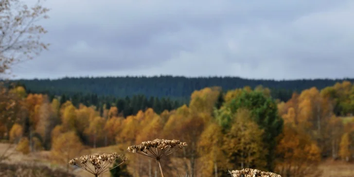 Barevný podzim na Kvildě v Aparthotelu Teddy