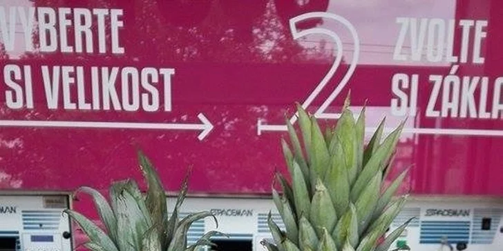 XXL frozen yogurt se čtyřmi posypy dle vašeho výběru ve FroYo
