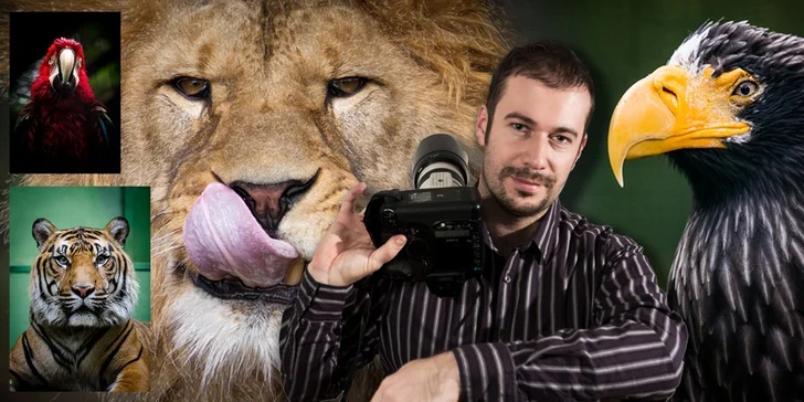 Fotografujte zvířata (nejen v zoo) jako profesionálové