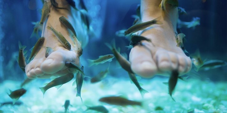 Relaxační lázeň a mikromasáž nohou s rybičkami Garra Rufa
