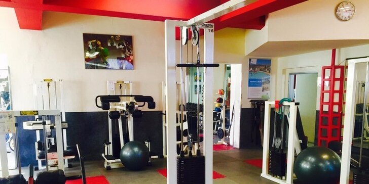 Měsíční permanentka na 5 cvičení ve Fitness Slavia