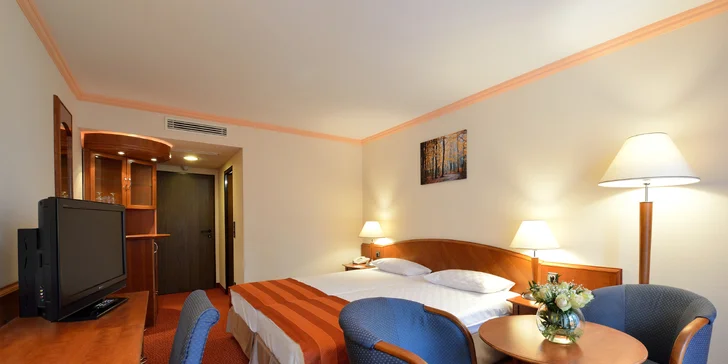 V izbe nechýba šatník, písací stôl, minibar ani televízor.