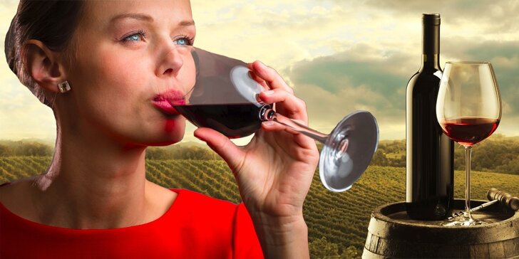 Vinařské kurzy několika úrovní spojené s degustací vín