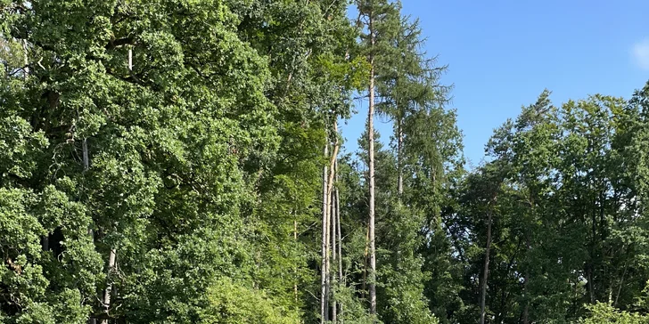 Až na vás bude toho klidu a ticha moc, vydejte se na výlet třeba do 3 km vzdálených Prachovských skal. 