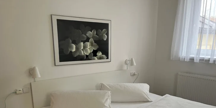 Jednopodlažní apartmán