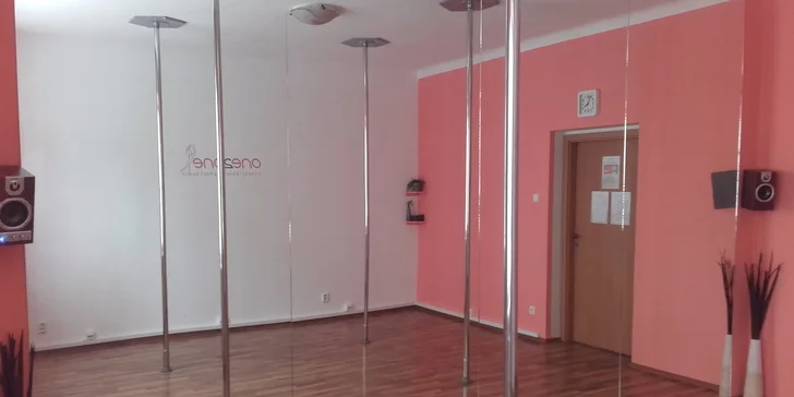 Jeden nebo tři vstupy na lekce Pole dance ve studiu ONE2ONE